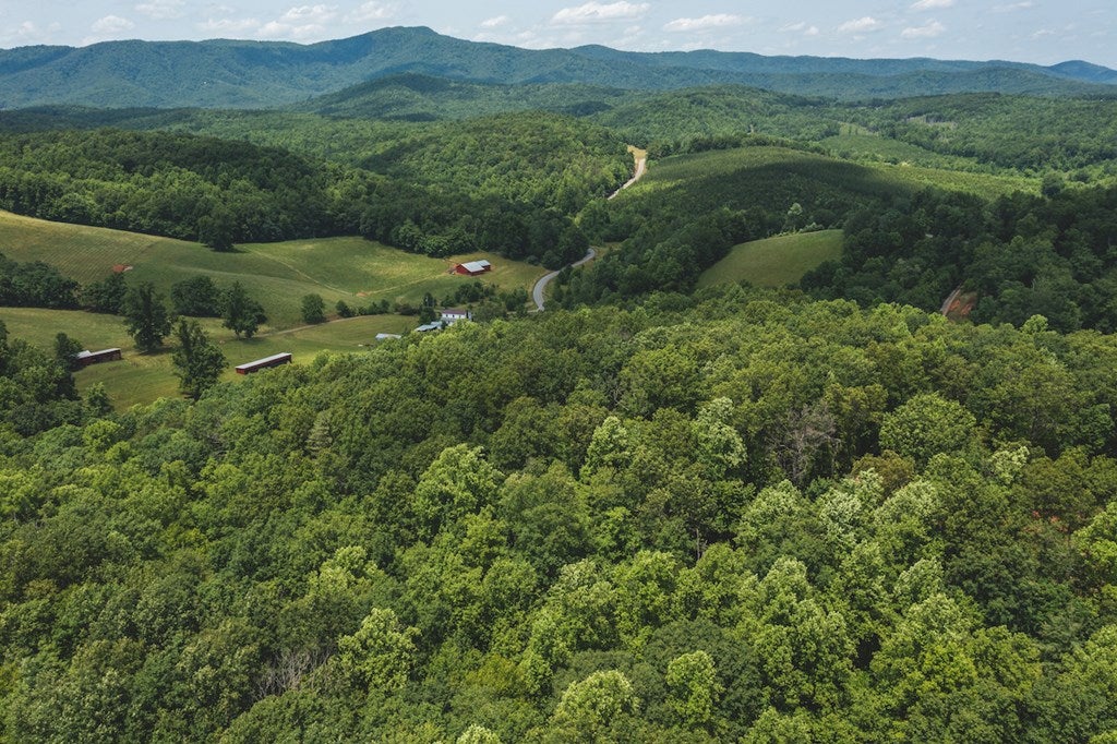 Tbd Lee Elgin Road, Unit 481797 Woolwine, VA 24185 - Photo 6 of 11 Gallery Image 6
