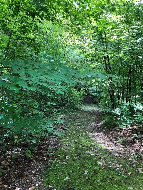 4373 Phillips Road Metamora, MI 48455 - Photo 22 of 73