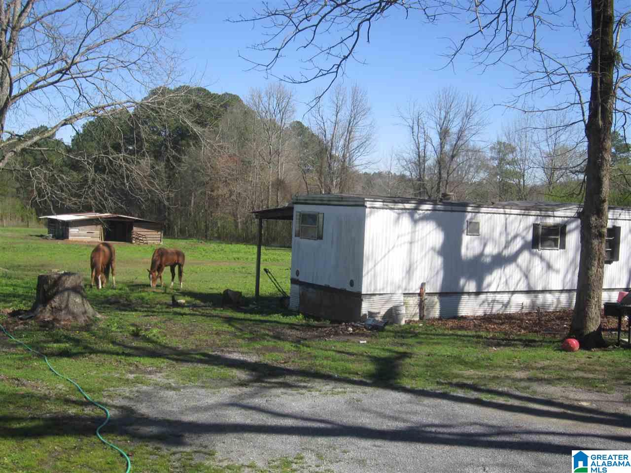 4360 Old Coal City Road Ragland, AL 35131 - Photo 27 of 34