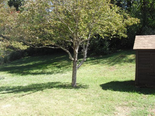 408 Delta Lane Clinton, TN 37716 - Photo 10 of 11 Additional Photo