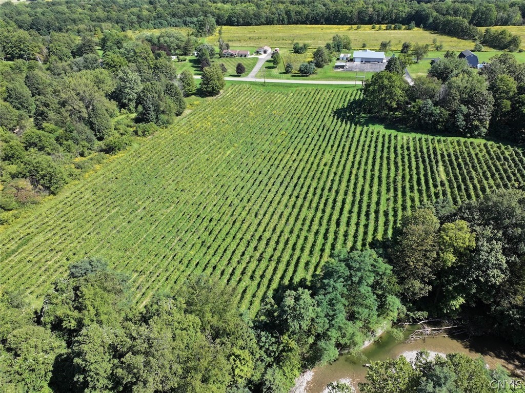 Bennett State Road Forestville, NY 14062 - Photo 5 of 18 Gallery Image 5