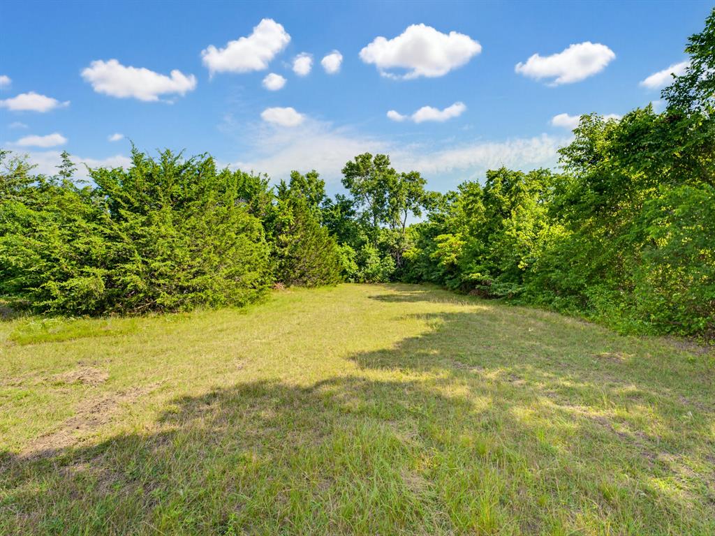 1300 South Trenchard Street Decatur, TX 76234 - Photo 25 of 40 a view of an ocean and a yard