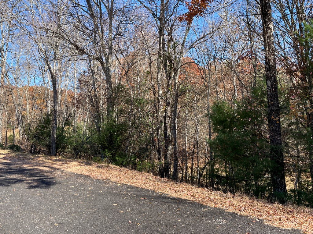 509 Martins Creek Ridge Road Murphy, NC 28906 - Photo 3 of 13
