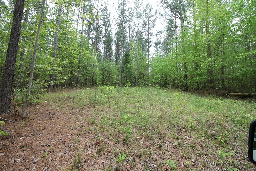 Sheltons Road, Unit 3 Drakes Branch, VA 23937 - Photo 18 of 18 Gallery Image 18