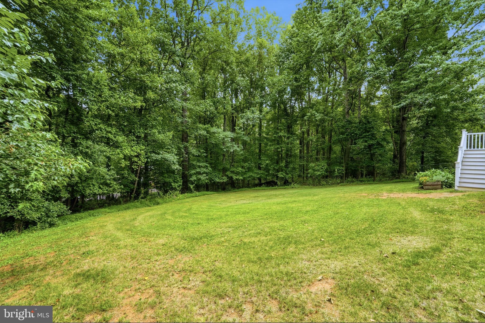 7237 Baldwin Ridge Road Warrenton, VA 20187 - Photo 45 of 63 View from deck