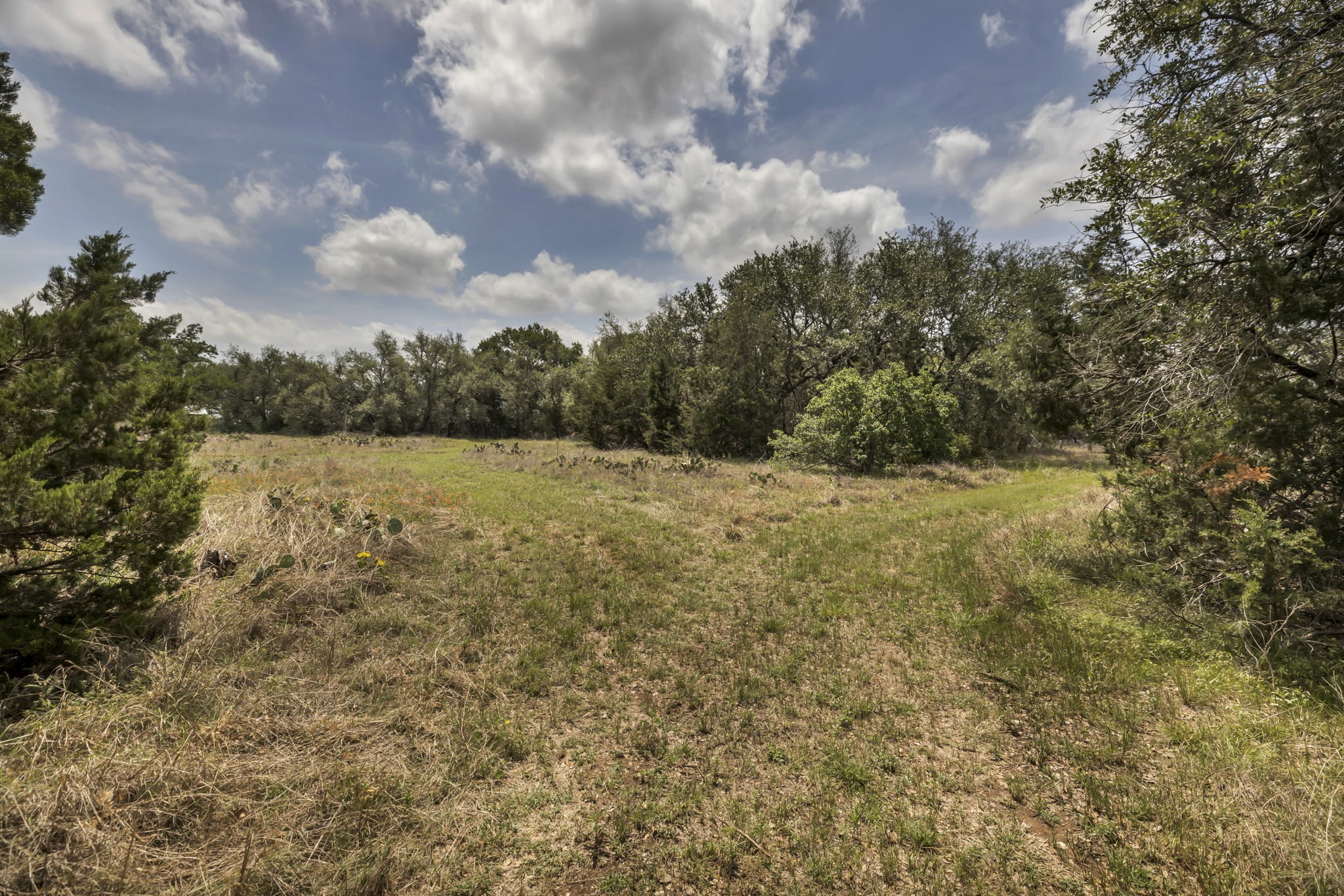 2888 Cedar Hollow Road Georgetown, TX 78628 - Photo 1 of 1