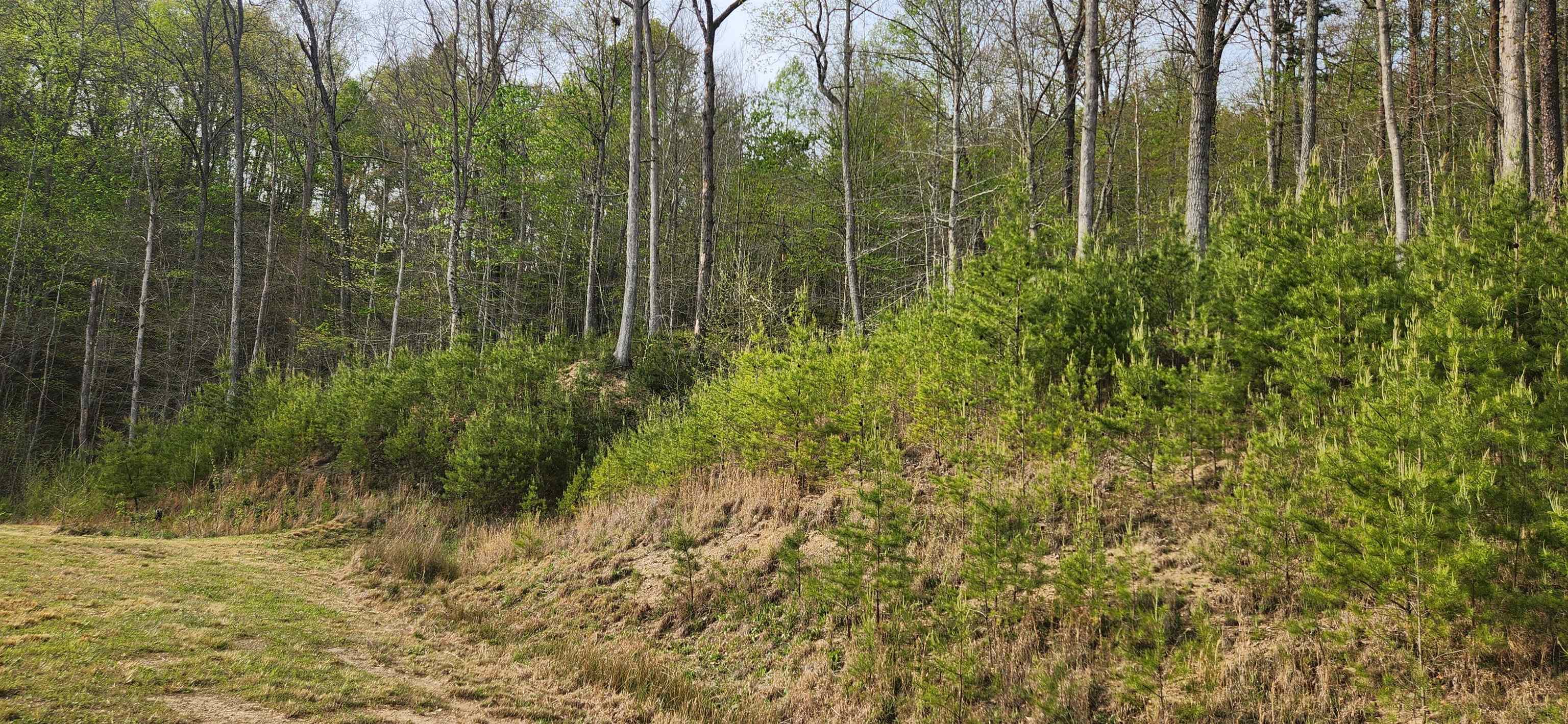 Stinson Creek Road Grayson, KY 41143 - Photo 10 of 14
