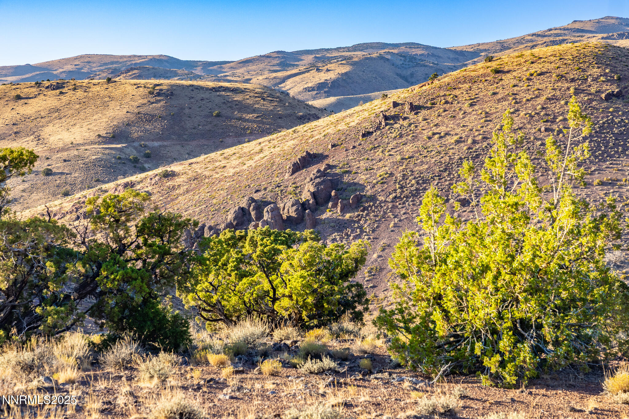 1955 Piute Creek Road, Unit 24 Reno, NV 89510 - Photo 2 of 7 a view of a yard