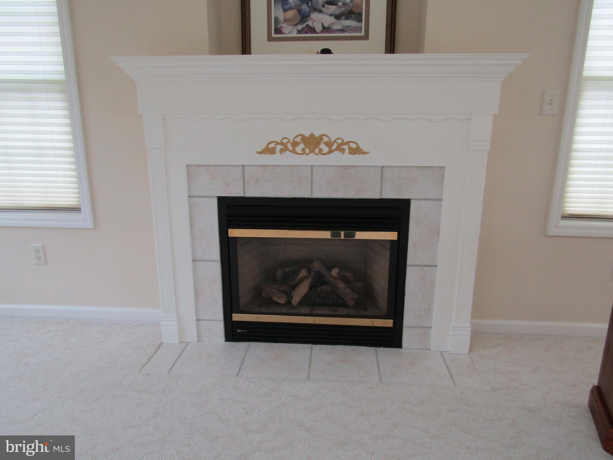 317 Balmer Road Lititz, PA 17543 - Photo 8 of 49 Gas Fireplace