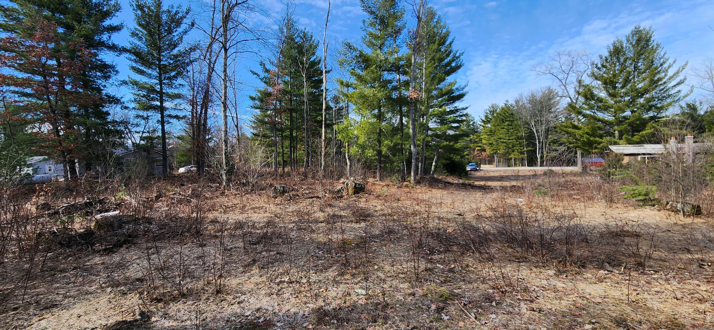 7746 North Woodbridge Road Brohman, MI 49312 - Photo 15 of 41 10 acres