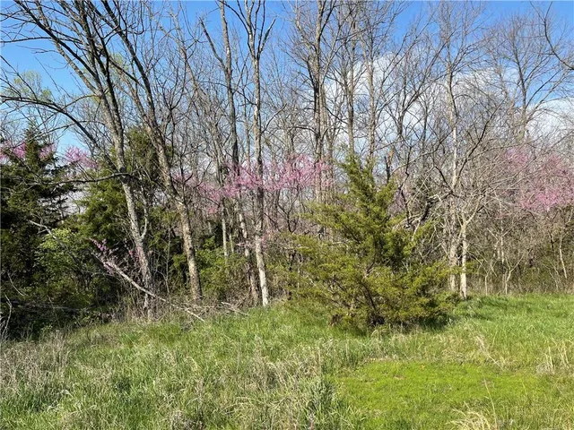 $1,800,000 | East 235th Street, Peculiar, MO 64078