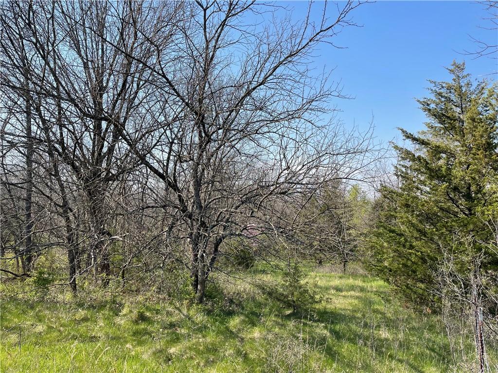 East 235th Street Peculiar, MO 64078 - Photo 2 of 7