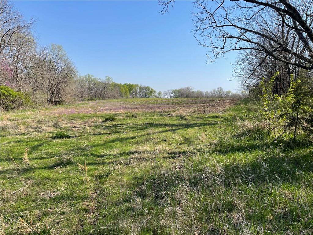 East 235th Street Peculiar, MO 64078 - Photo 3 of 7
