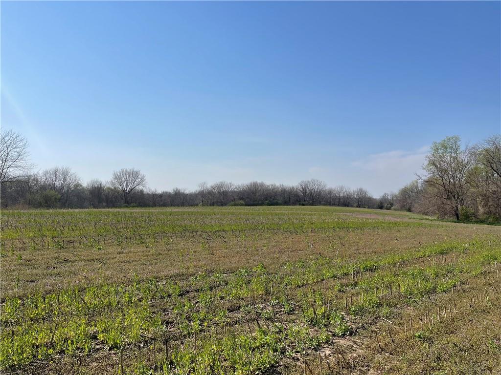 East 235th Street Peculiar, MO 64078 - Photo 5 of 7