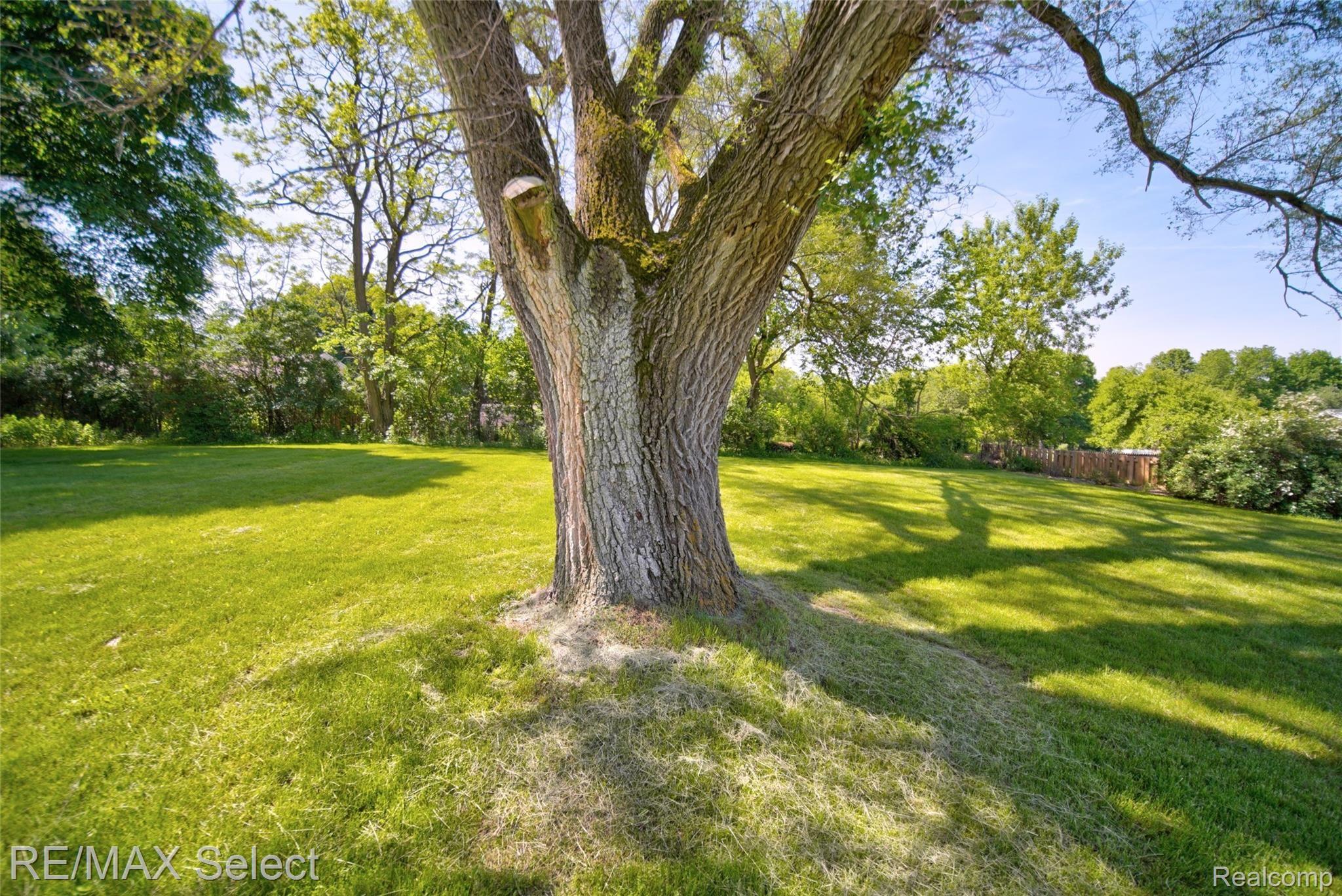 11517 Hartland Road Fenton, MI 48430 - Photo 14 of 79 11517 Hartland Road 24.jpg