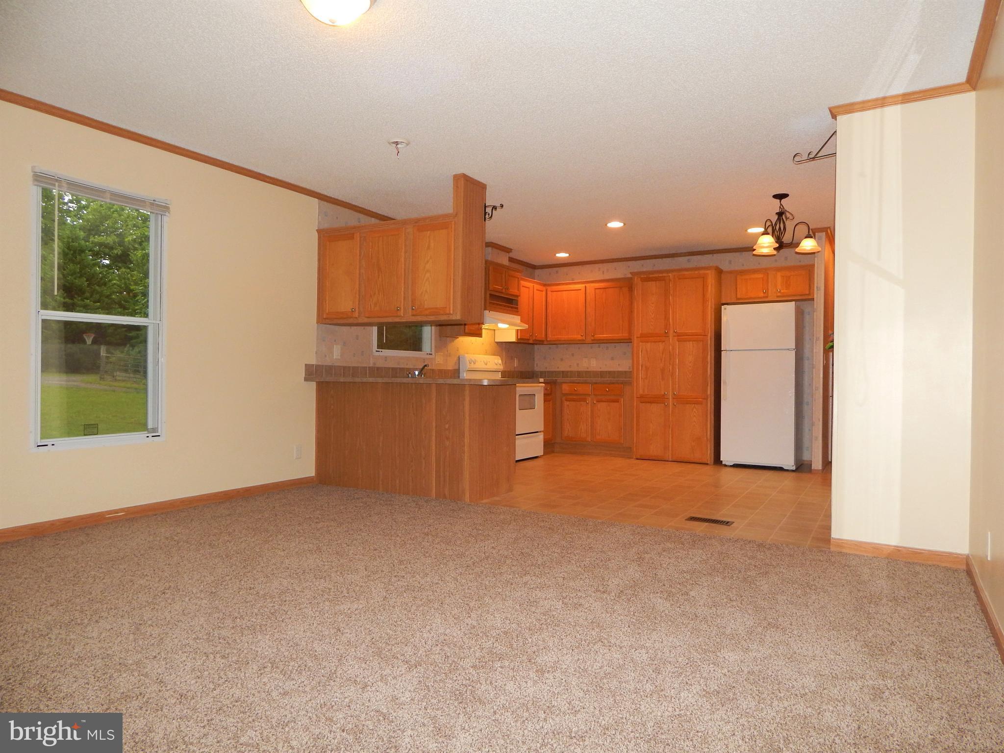 6549 Browning Road Culpeper, VA 22701 - Photo 6 of 22 Interior (General)