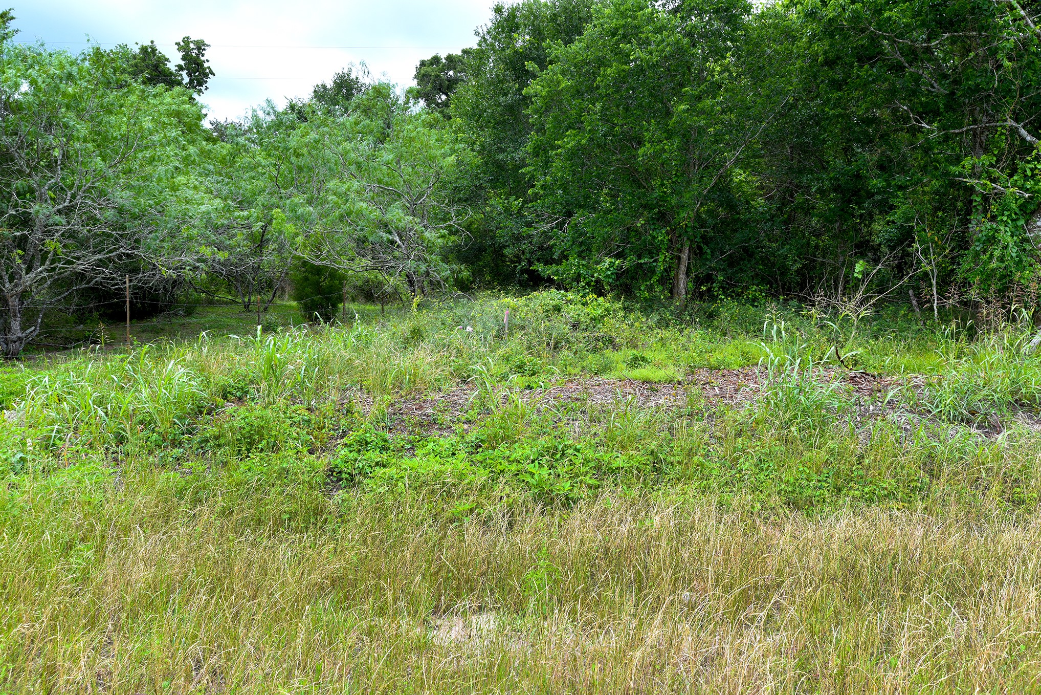 10 East Frontage Road Weimar, TX 78962 - Photo 12 of 30 a view of a lush green space