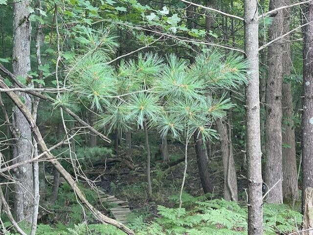 2987 East Koenig Road Free Soil, MI 49411 - Photo 18 of 20 18