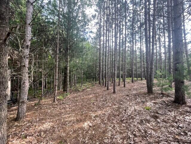 2987 East Koenig Road Free Soil, MI 49411 - Photo 20 of 20 20