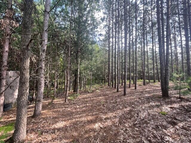 2987 East Koenig Road Free Soil, MI 49411 - Photo 8 of 20 8