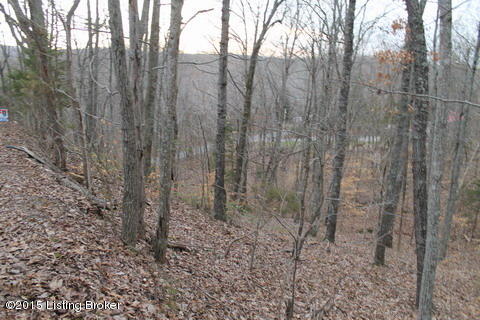12 Dug Hill Road Clarkson, KY 42726 - Photo 3 of 8 IMG_6844_resize.JPG