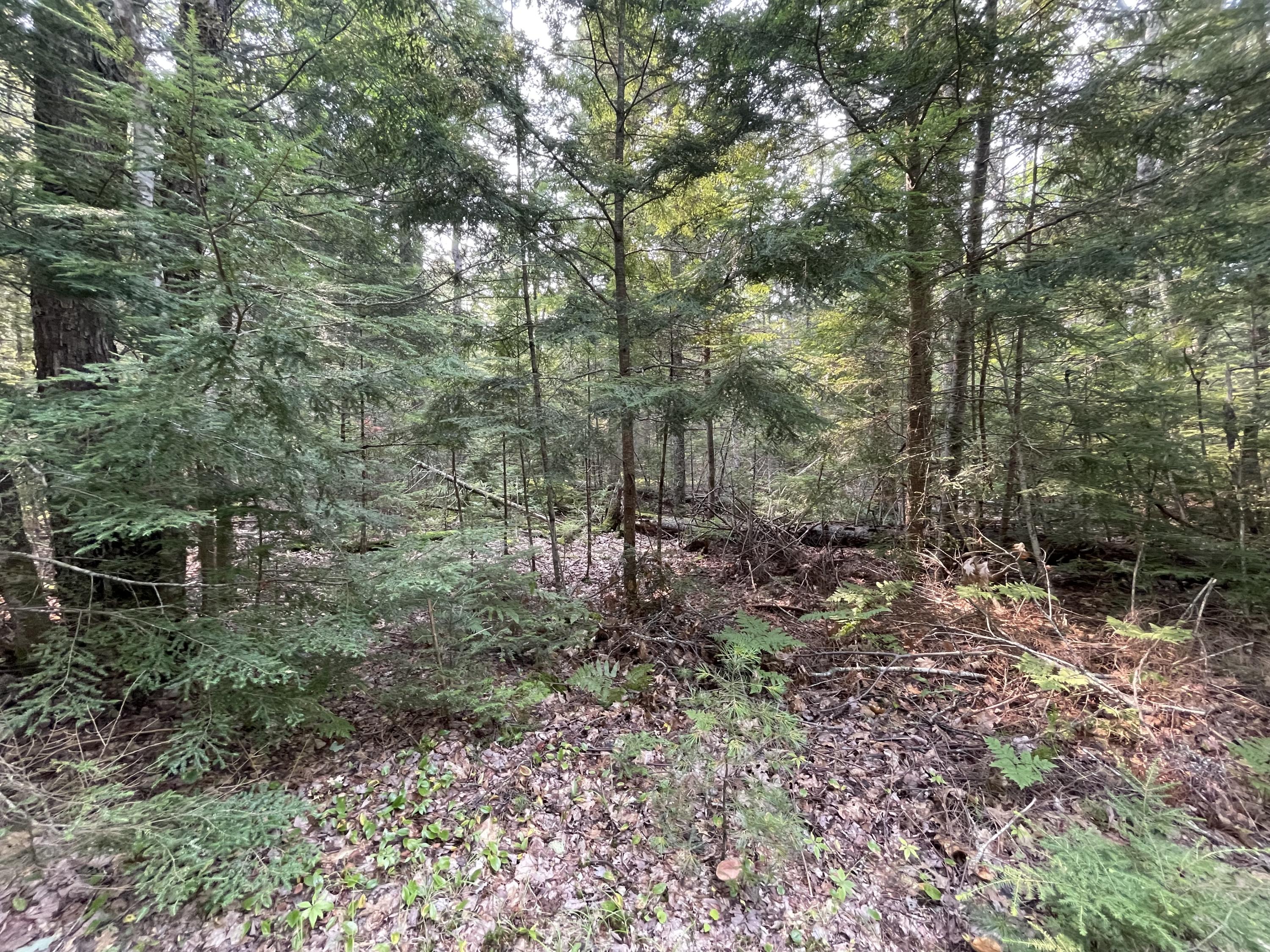 Mapu1-lot5 Silsby Road Ellsworth, ME 04605 - Photo 7 of 17 IMG_1198