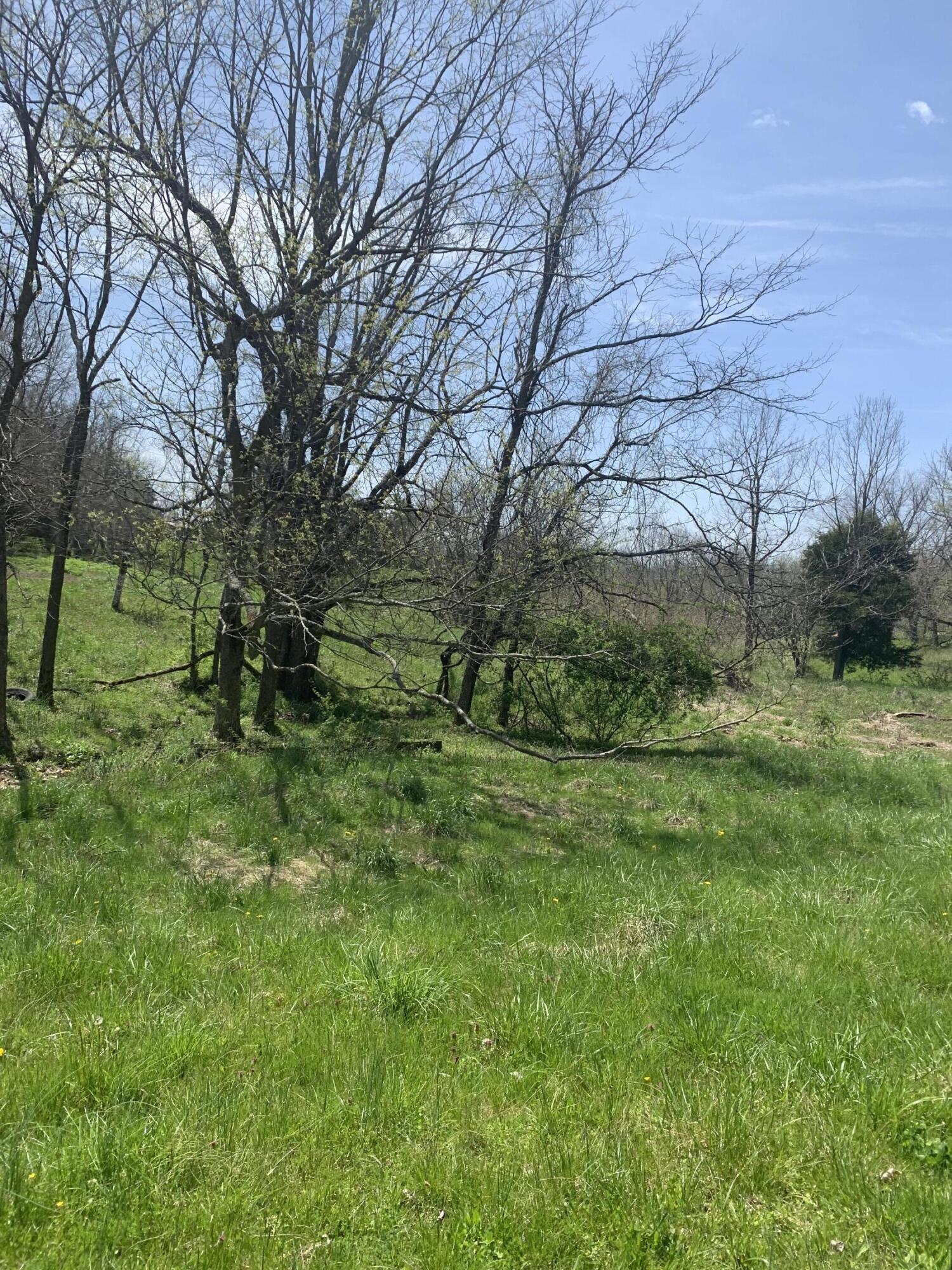 1000 Britton Road Harrodsburg, KY 40330 - Photo 10 of 88 12F33DAE-014C-4025-B1D0-6A10A45A447D