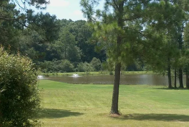 a view of a lake view with a garden
