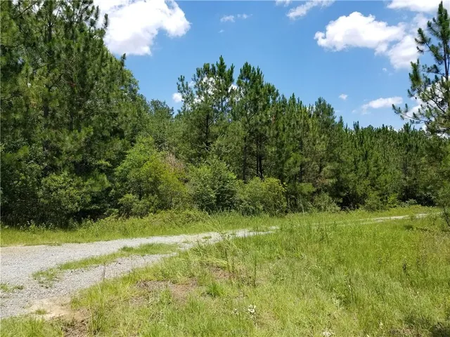 a view of a yard with a tree