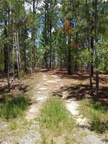 a view of a field with an trees
