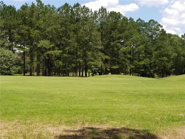 a view of a yard with large trees