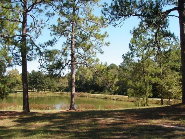 a view of a lake with houses