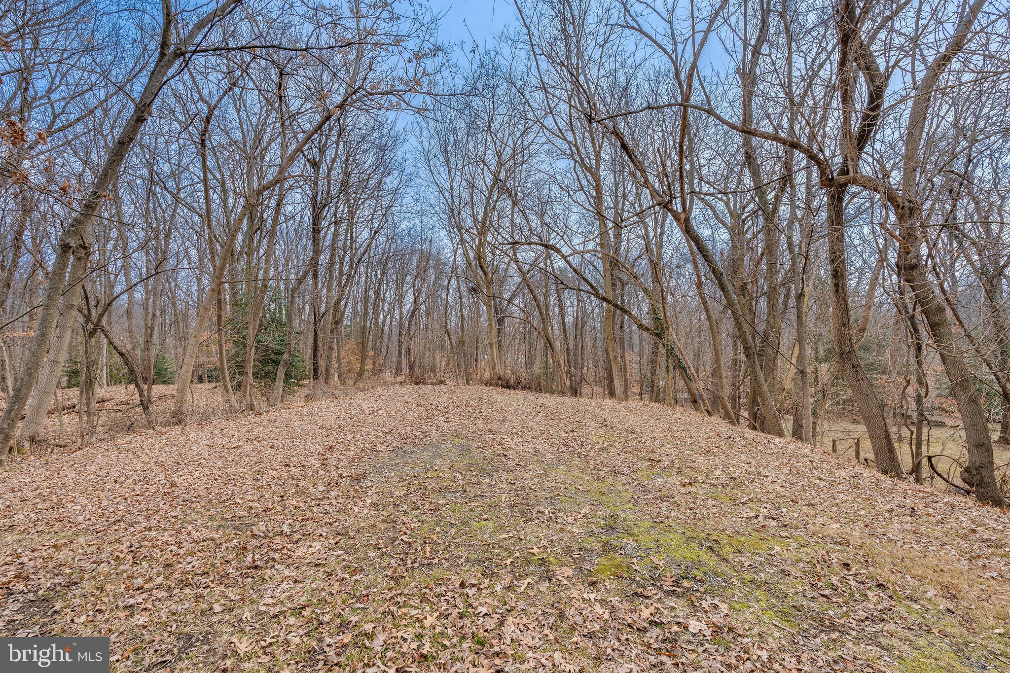 5614 Fisher Road Temple Hills, MD 20748 - Photo 69 of 74 Gallery Image 69