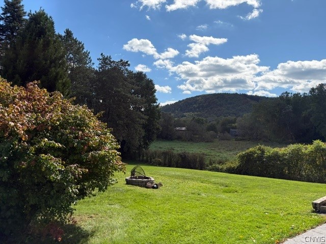 171 Crooked Lake Road Tully, NY 13159 - Photo 38 of 47 Gallery Image 38