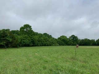 1417 Springplace Road Lewisburg, TN 37091 - Photo 1 of 9 Gallery Image 1