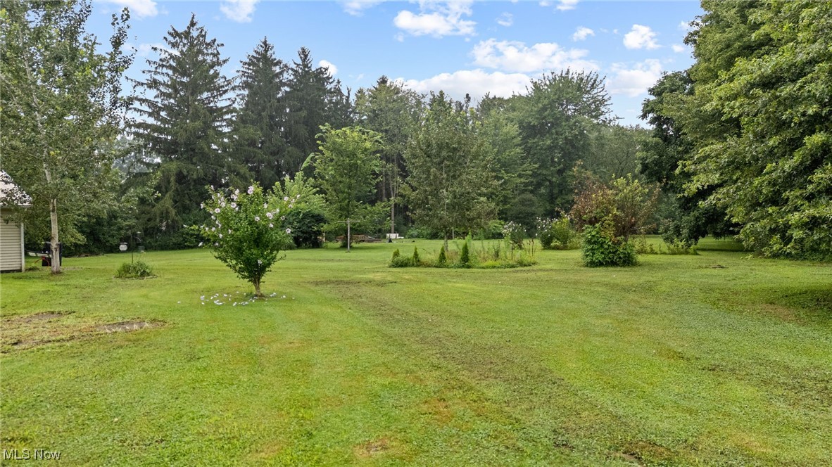 10228 Beloit Snodes Road North Benton, OH 44449 - Photo 6 of 25 View of green lawn