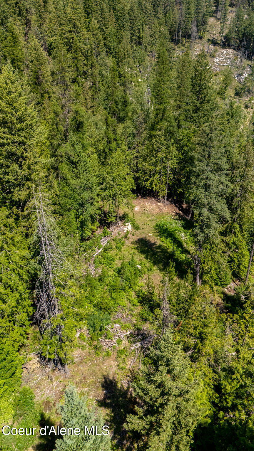 466 Rincon Drive Sandpoint, ID 83864 - Photo 8 of 19 8-web-or-mls-SkyLight - SPLOT (RQ)-10