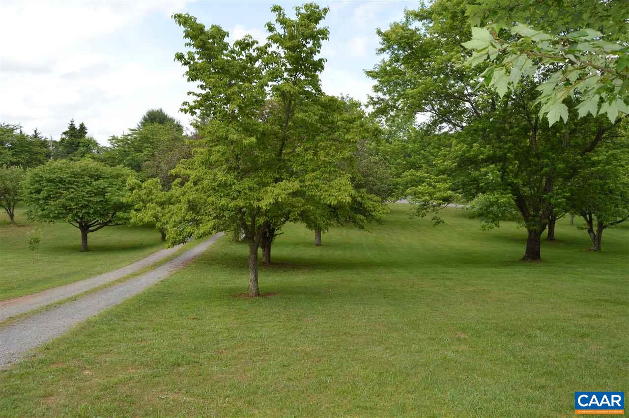 92 Rippin Run Road Ruckersville, VA 22968 - Photo 2 of 17 a view of backyard with green space