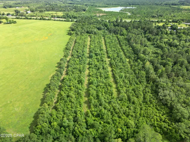 $343,000 | 0 Oswald Road, Chipley, FL 32428