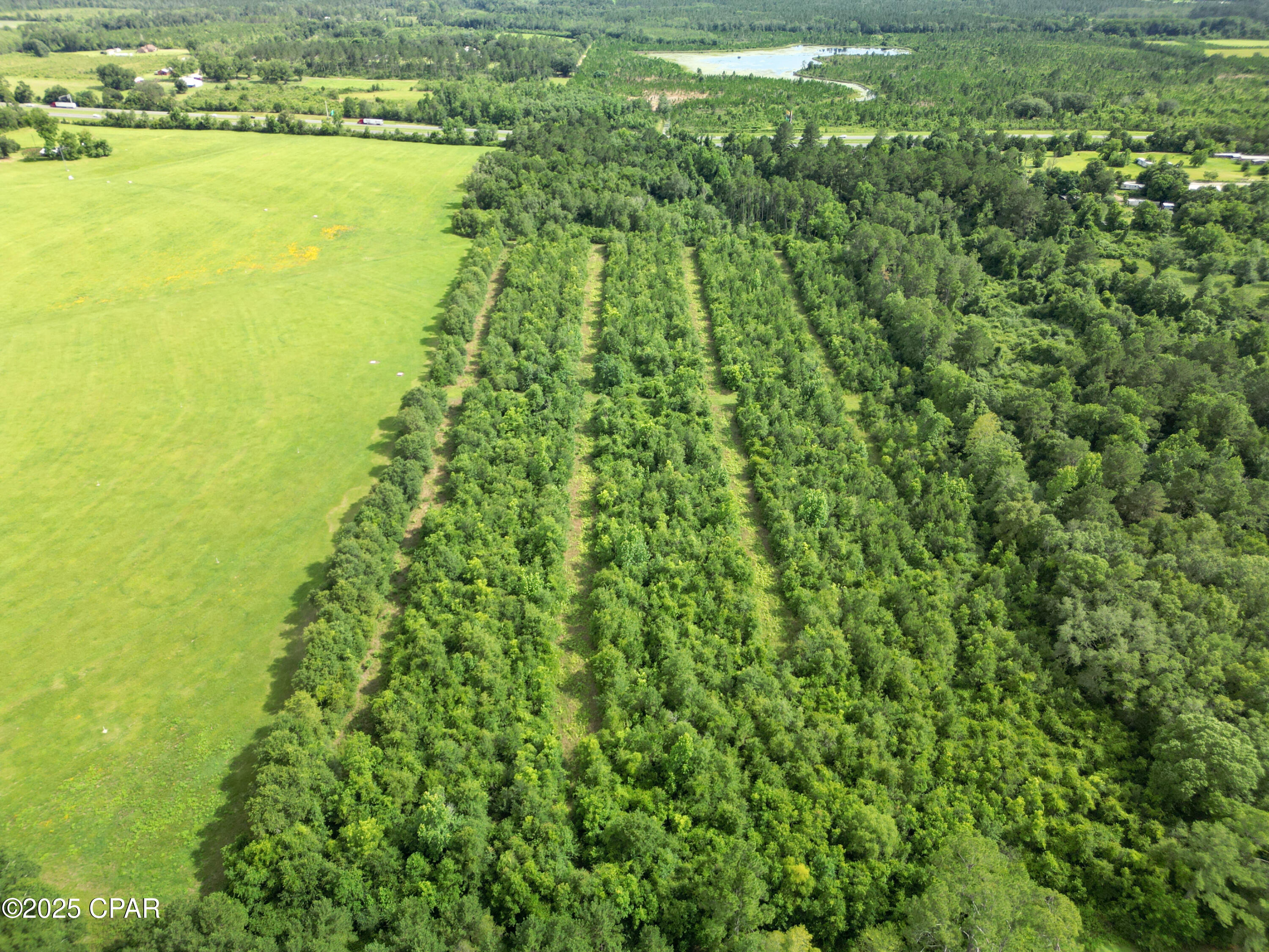 0 Oswald Road Chipley, FL 32428 - Photo 15 of 25