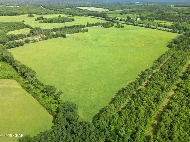 $343,000 | 0 Oswald Road, Chipley, FL 32428