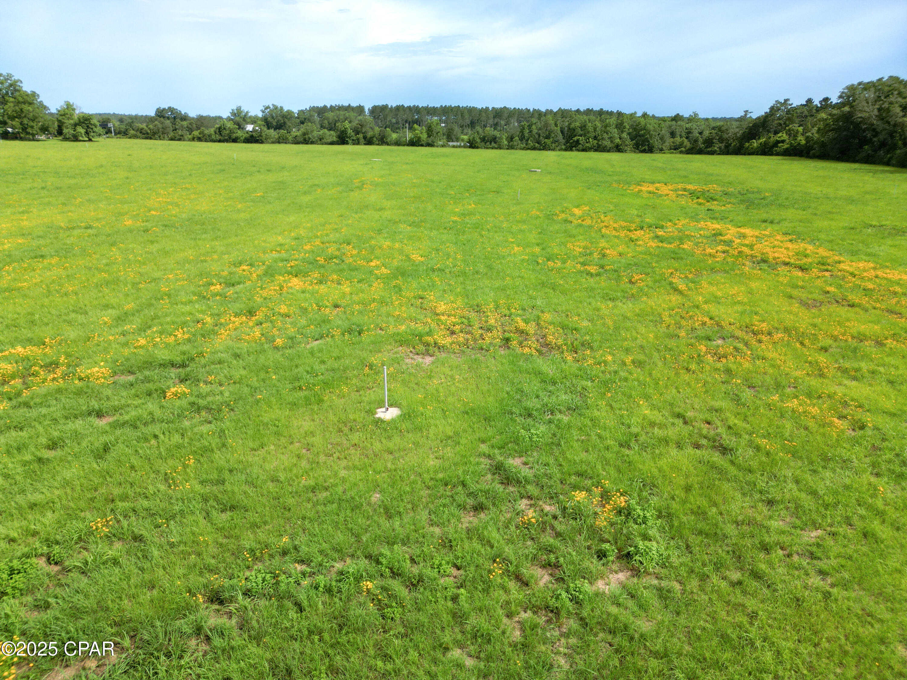 0 Oswald Road Chipley, FL 32428 - Photo 17 of 25