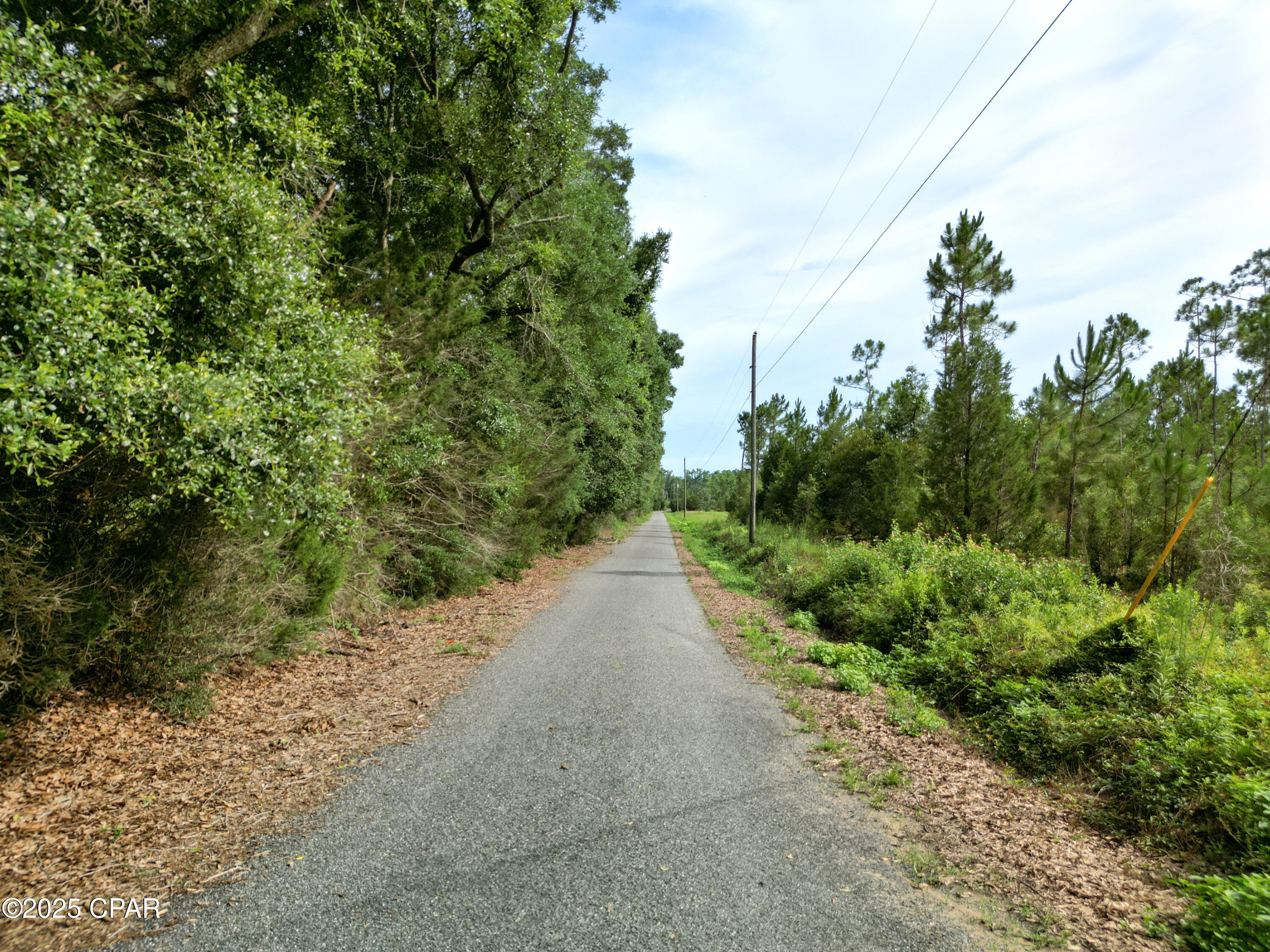 0 Oswald Road Chipley, FL 32428 - Photo 23 of 25