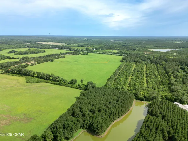$343,000 | 0 Oswald Road, Chipley, FL 32428