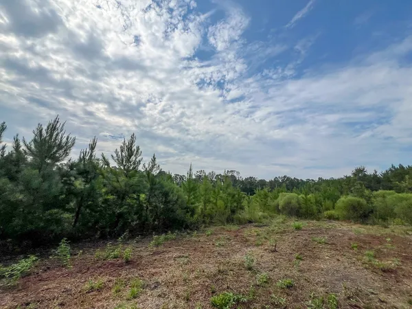 a view of an outdoor space with mountain view