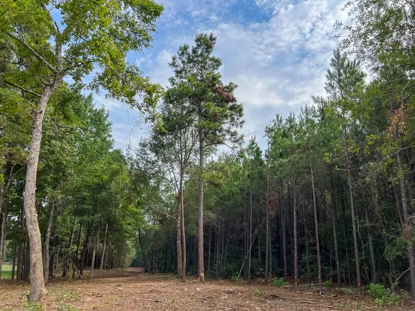 a view of a backyard of the house