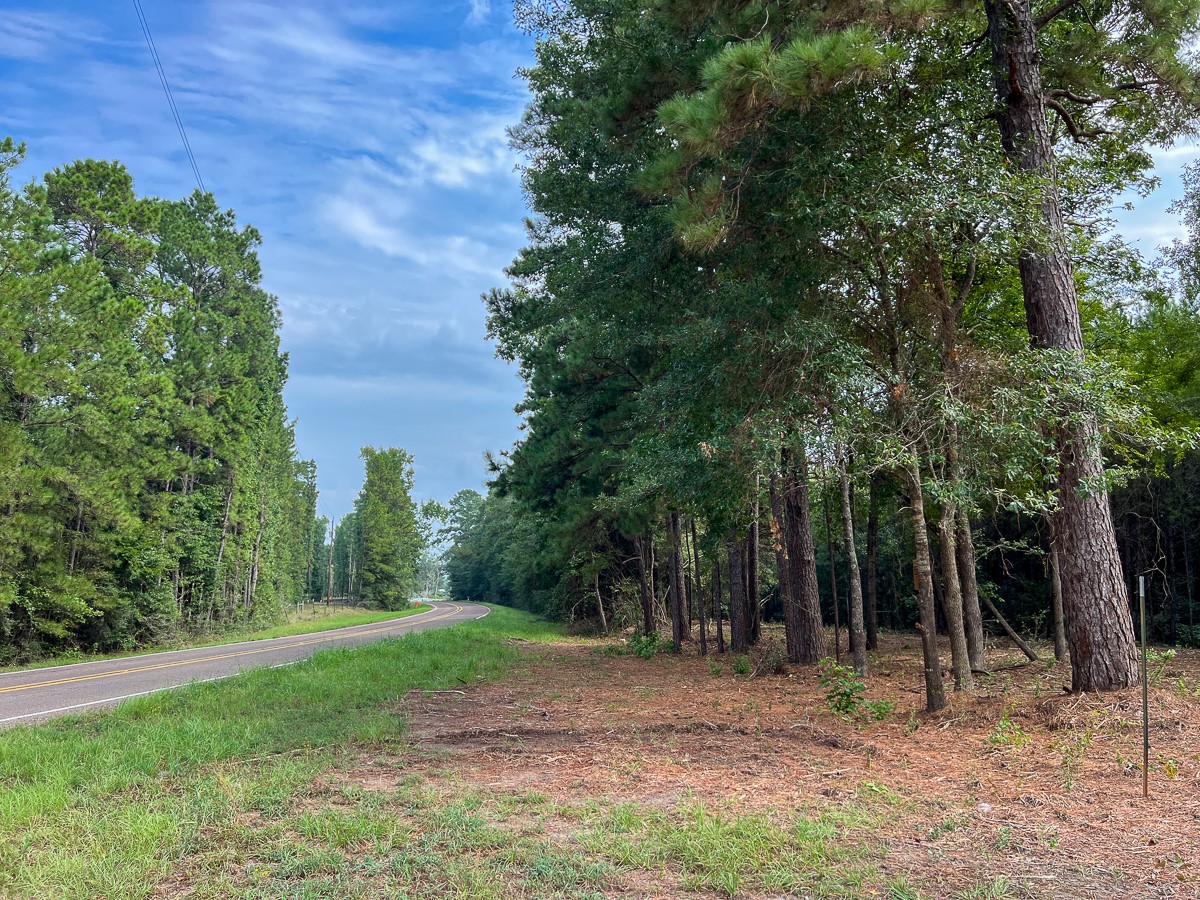 1 Fm 1987 Corrigan, TX 75939 - Photo 13 of 17 a view of a forest filled with trees