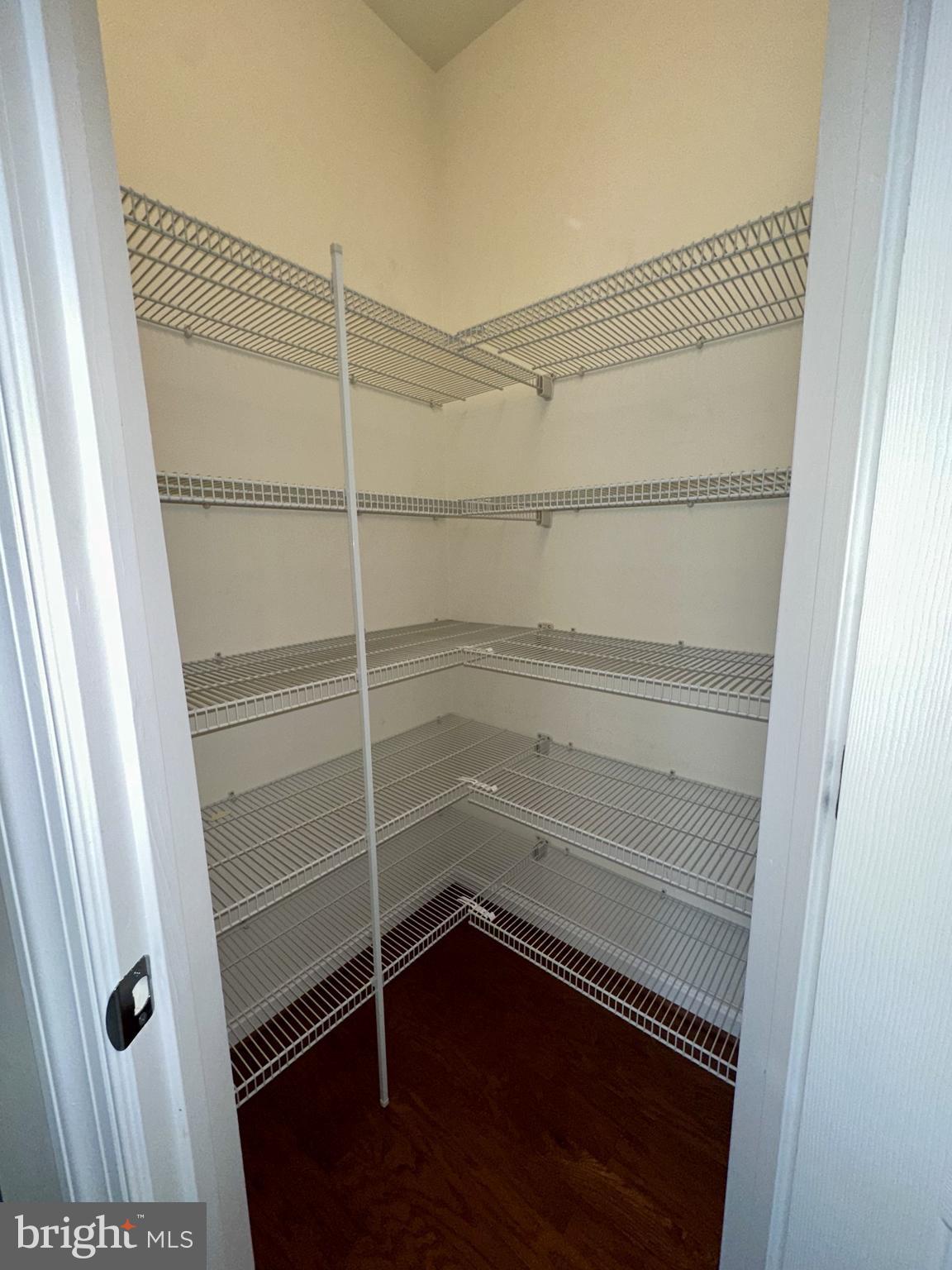 43903 Centergate Drive Ashburn, VA 20148 - Photo 11 of 26 Walk-in pantry