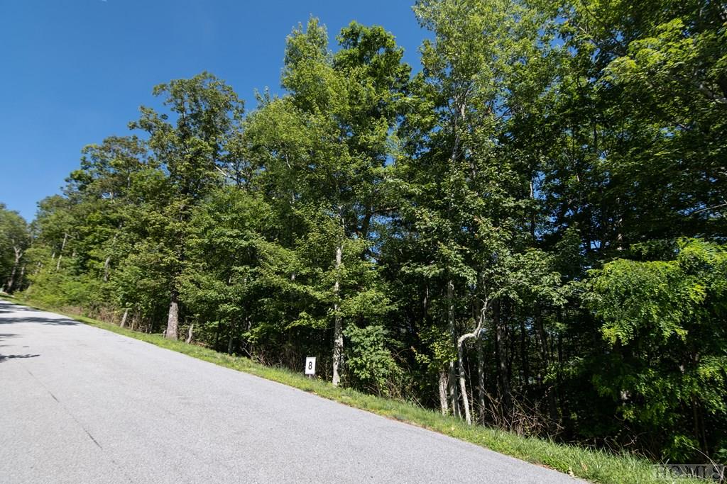 Lot 8 East Ridge Road Cashiers, NC 28717 - Photo 2 of 21 Gallery Image 2