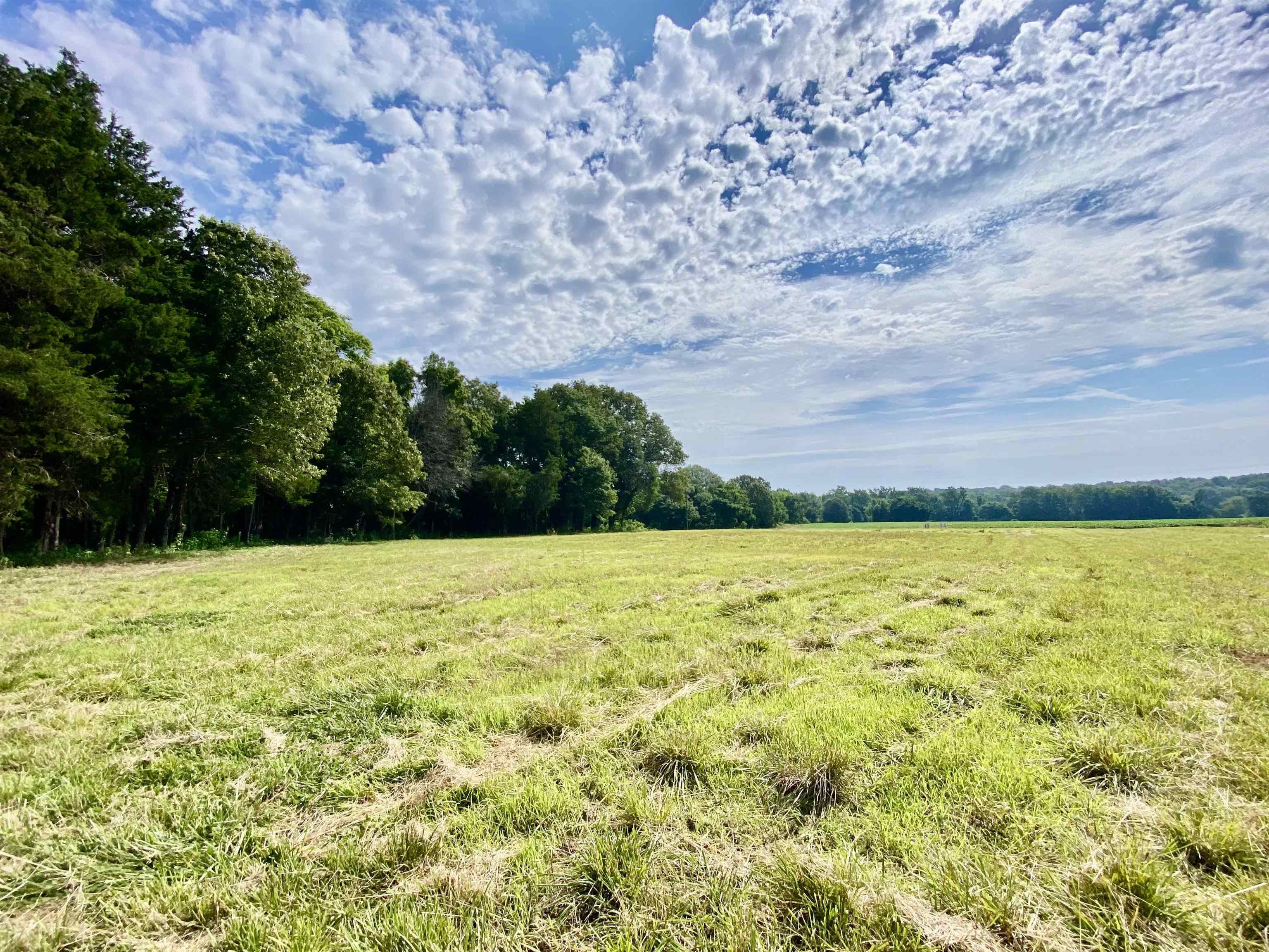 475 Fertile Valley Road Somerville, TN 38068 - Photo 11 of 21 a view of an outdoor space